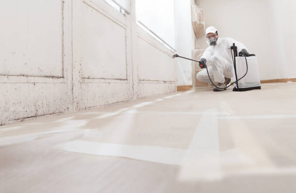 24/7 Emergency Attic Mold Remediation experts in Bayport, NY